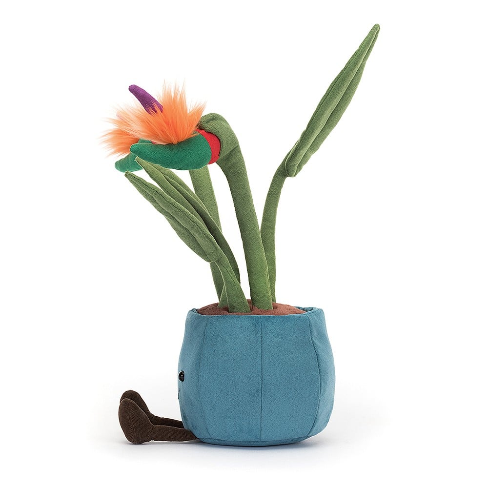Amuseable Bird Of Paradise - Image 4