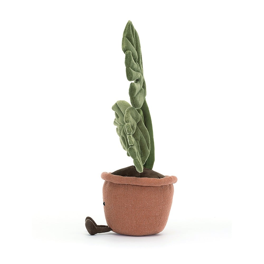 Amuseable Monstera Plant - Image 4