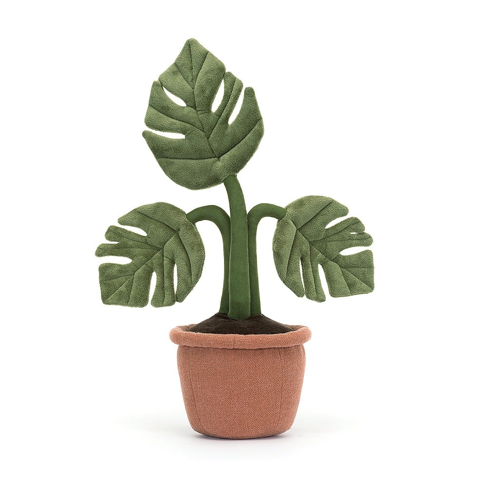 Amuseable Monstera Plant - Image 3