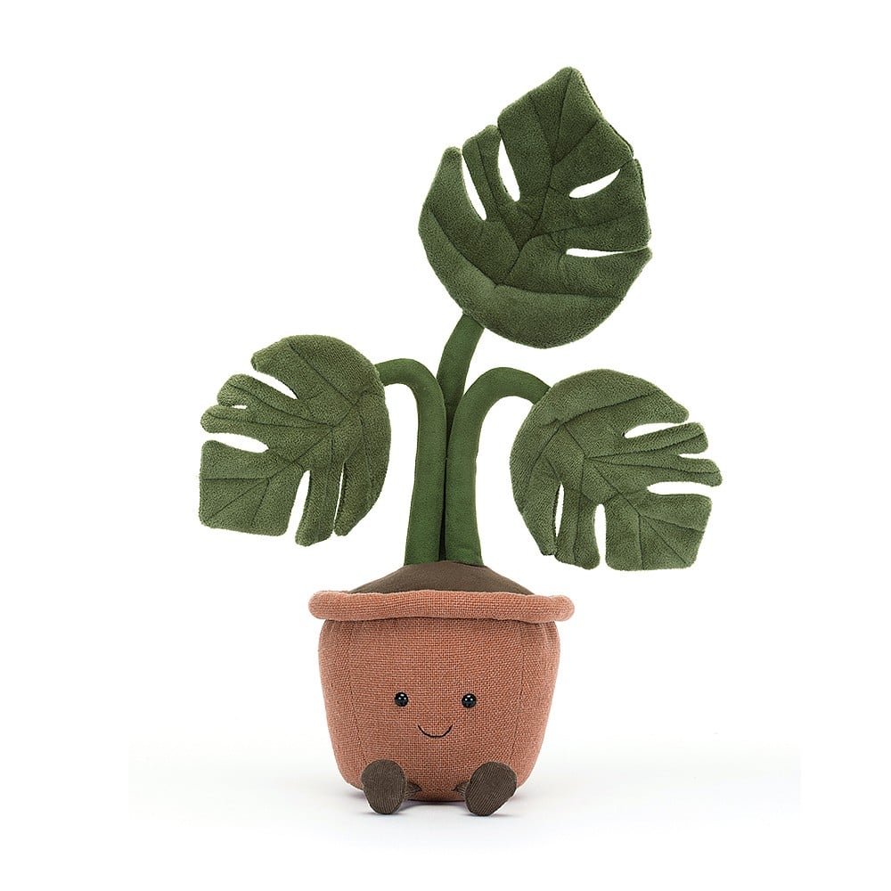 Amuseable Monstera Plant - Image 2