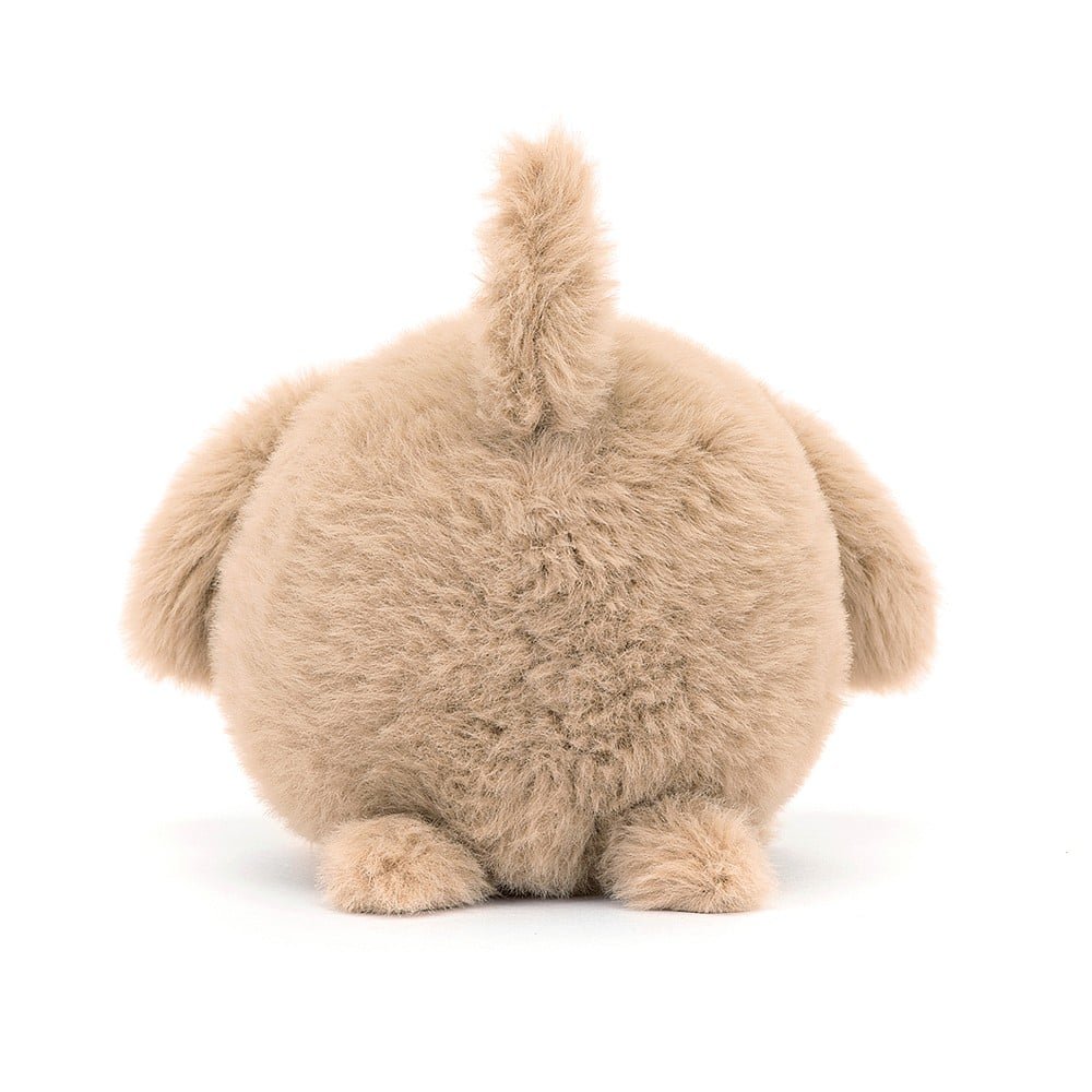 Caboodle Puppy - Image 3