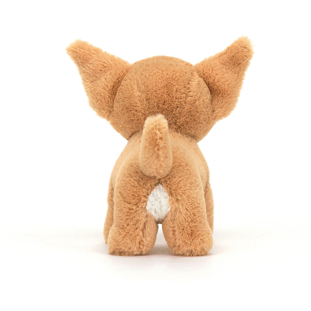 Isobel Chihuahua - Image 3