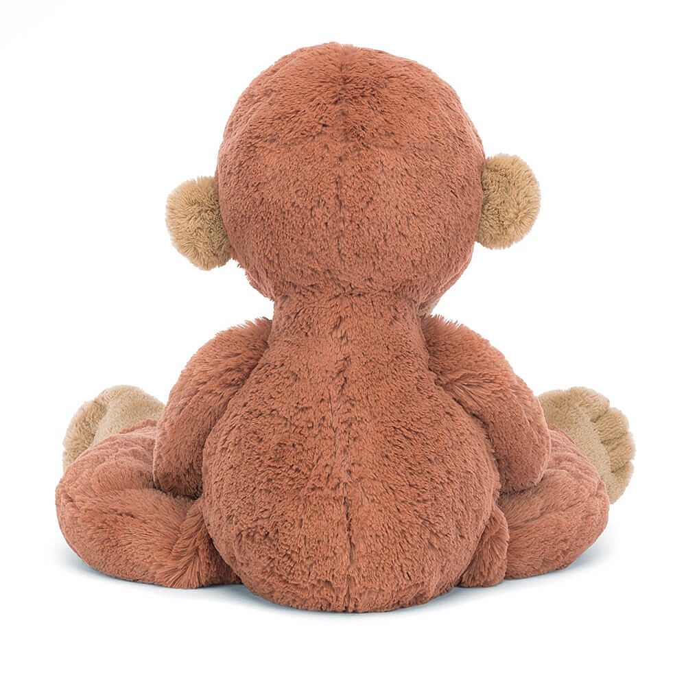 Pongo Orangutan - Image 3