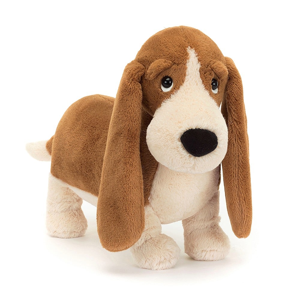Randall Basset Hound - Image 4