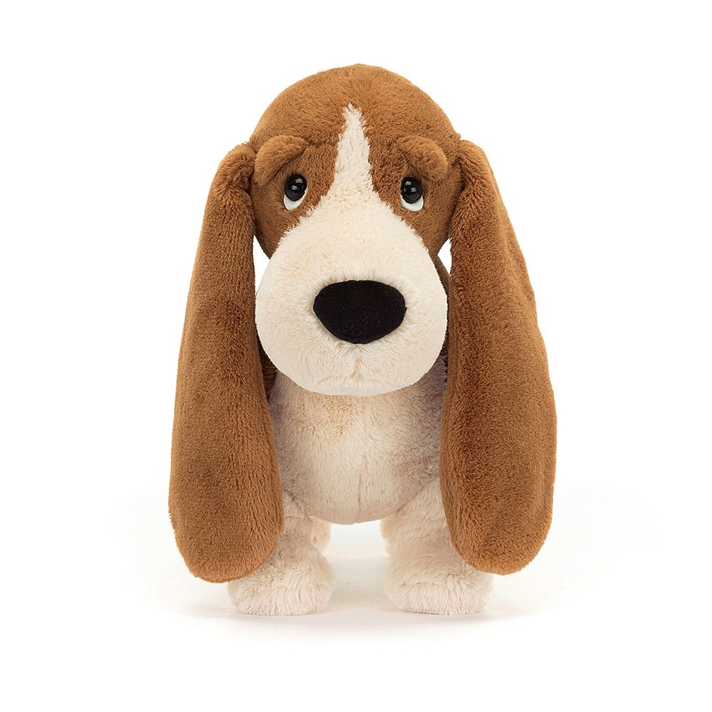 Randall Basset Hound - Image 3
