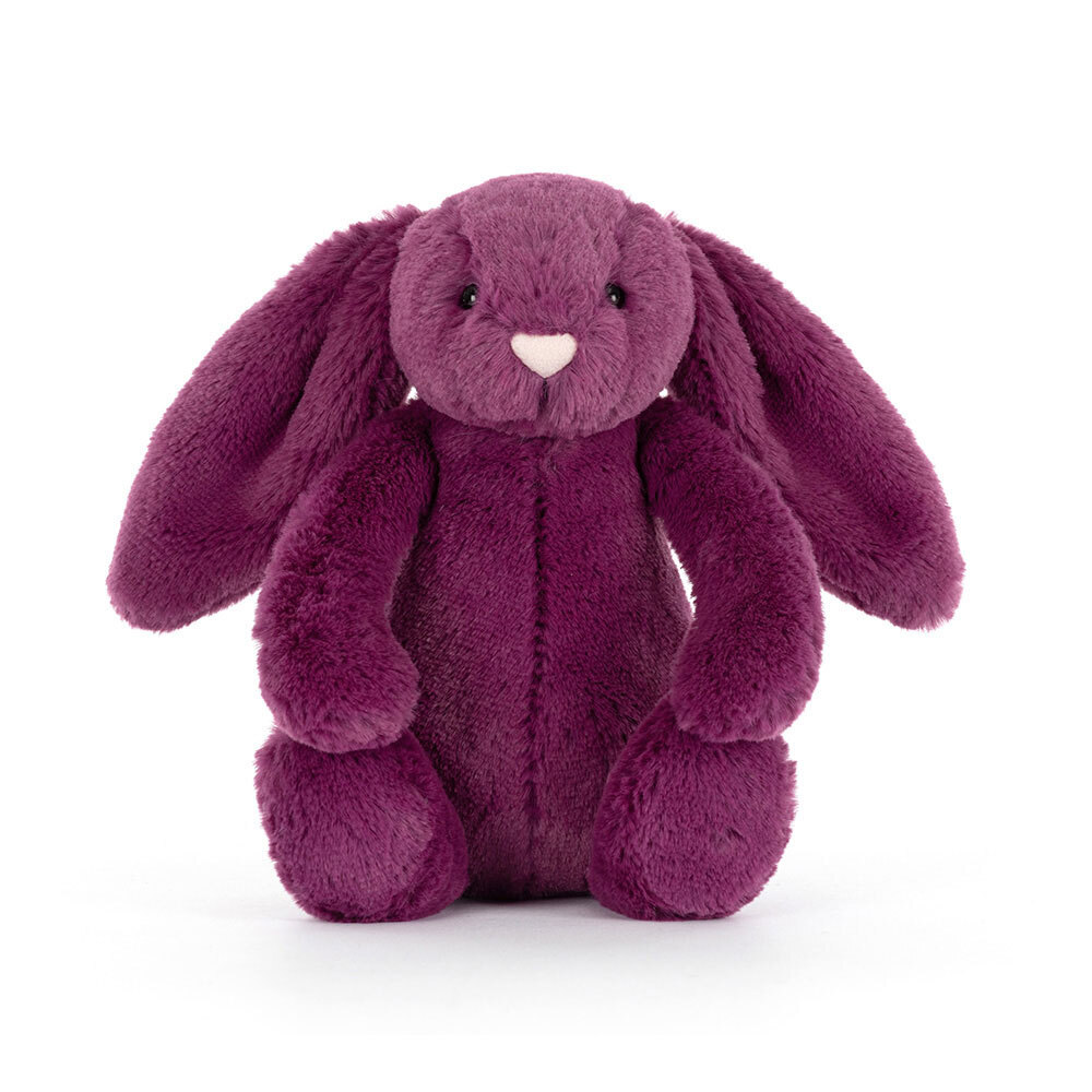 Bashful Allium Bunny Little - Image 4